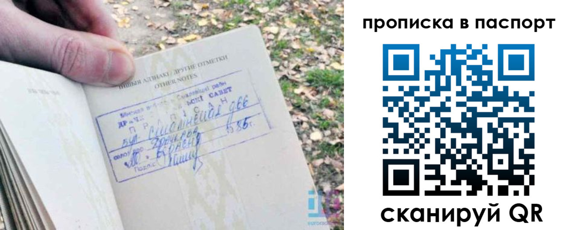купить прописку в Тейково
